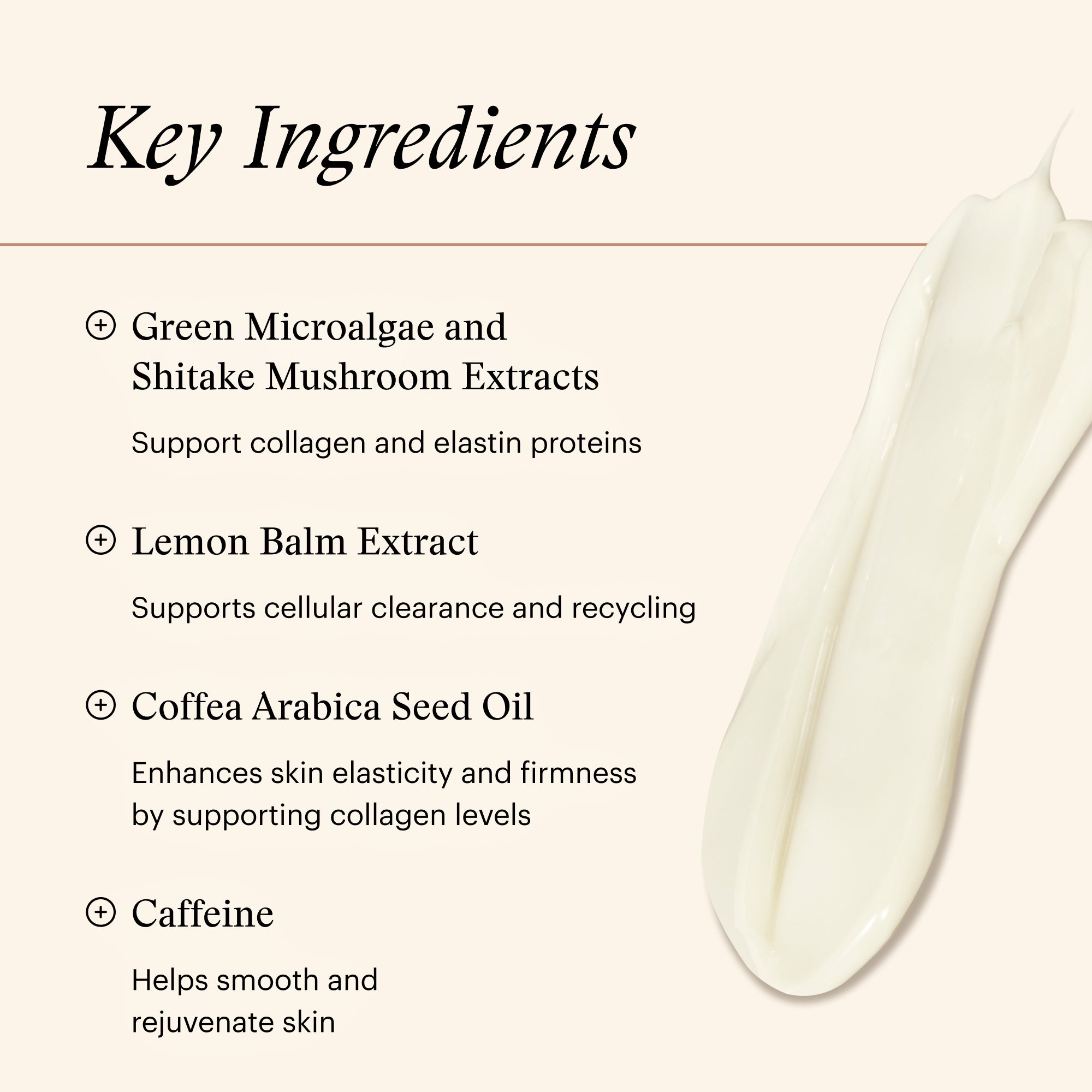 SkinMedica Firm & Tone Body Lotion (6 oz)