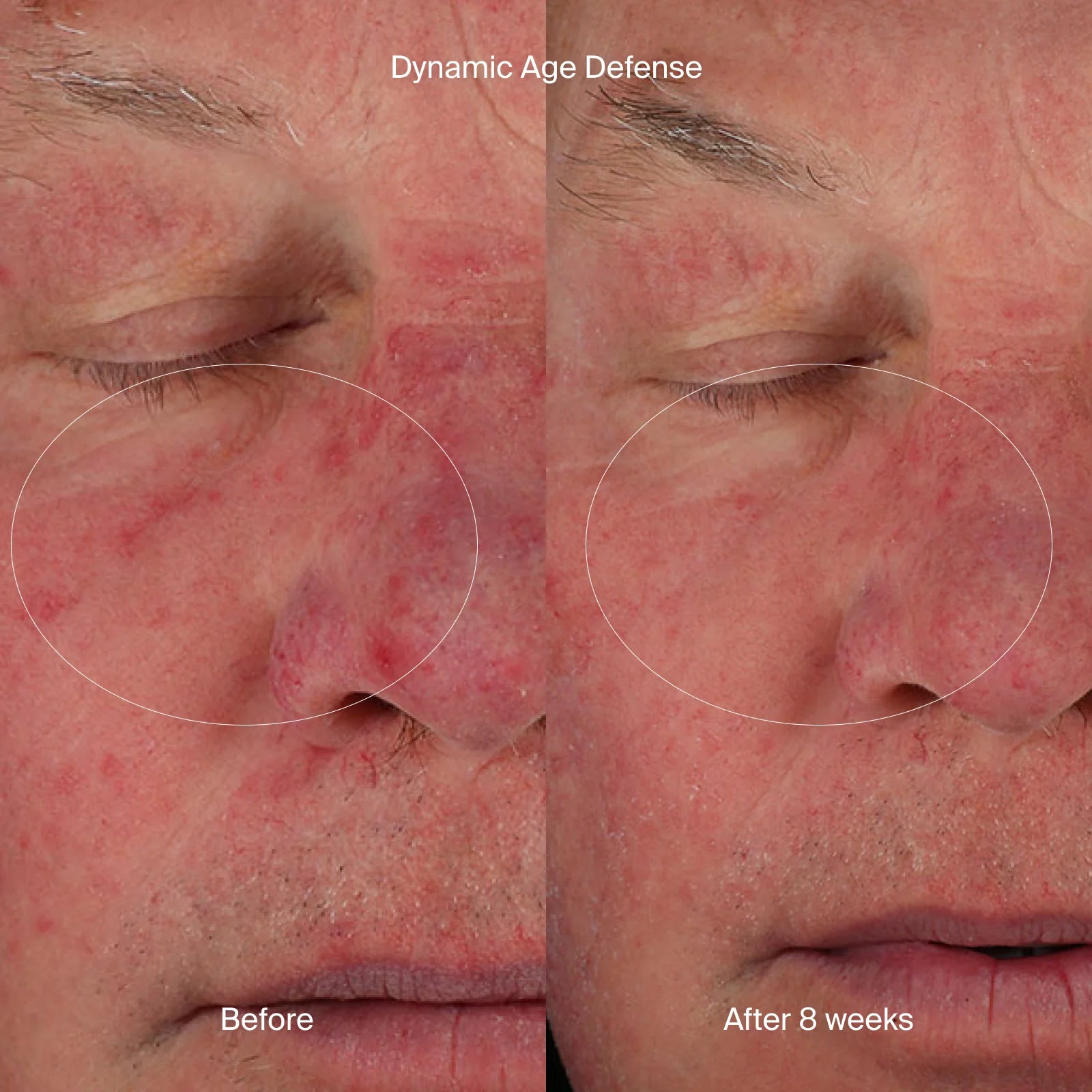 Pavise The Minimalist