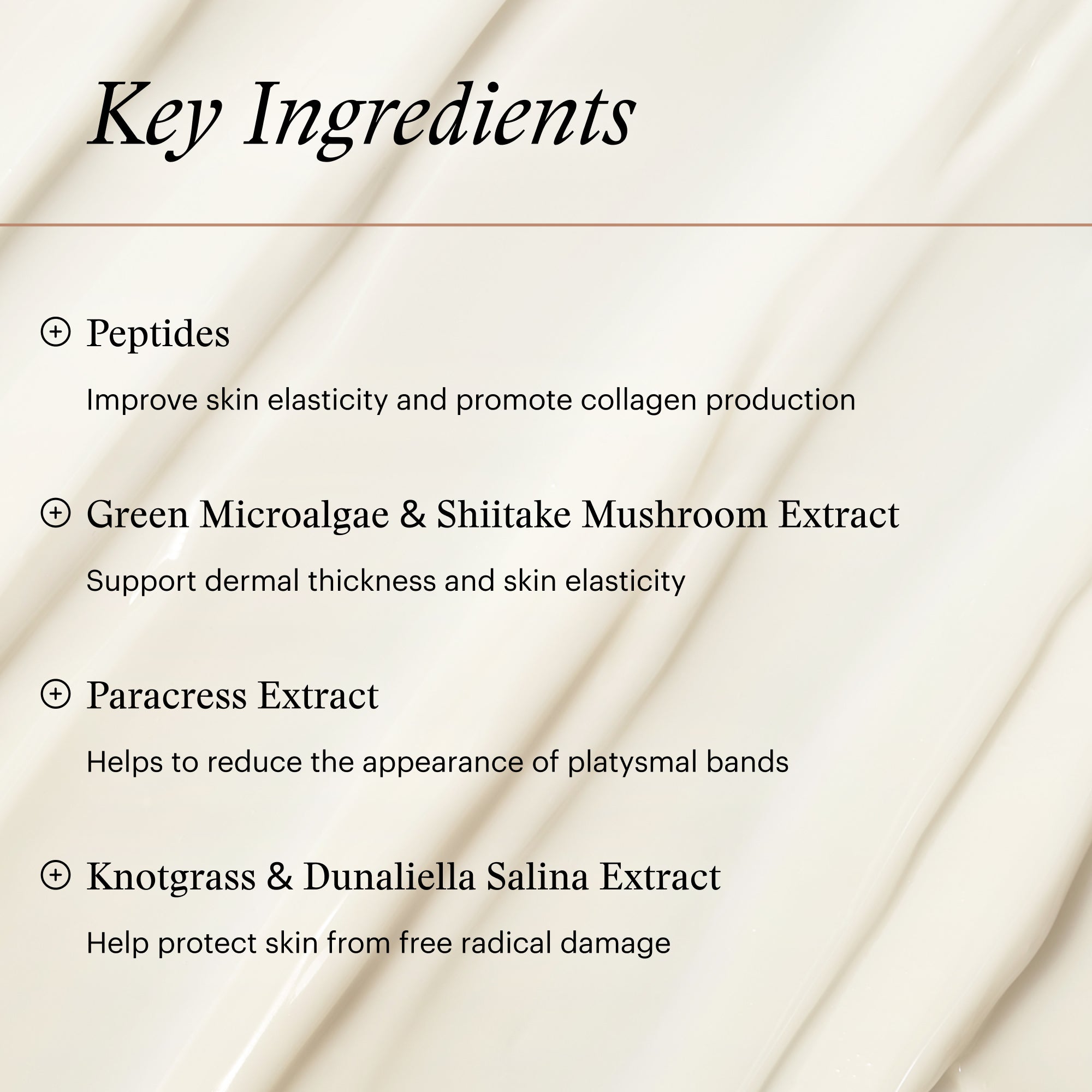 SkinMedica Neck Correct Cream (1.7 oz)