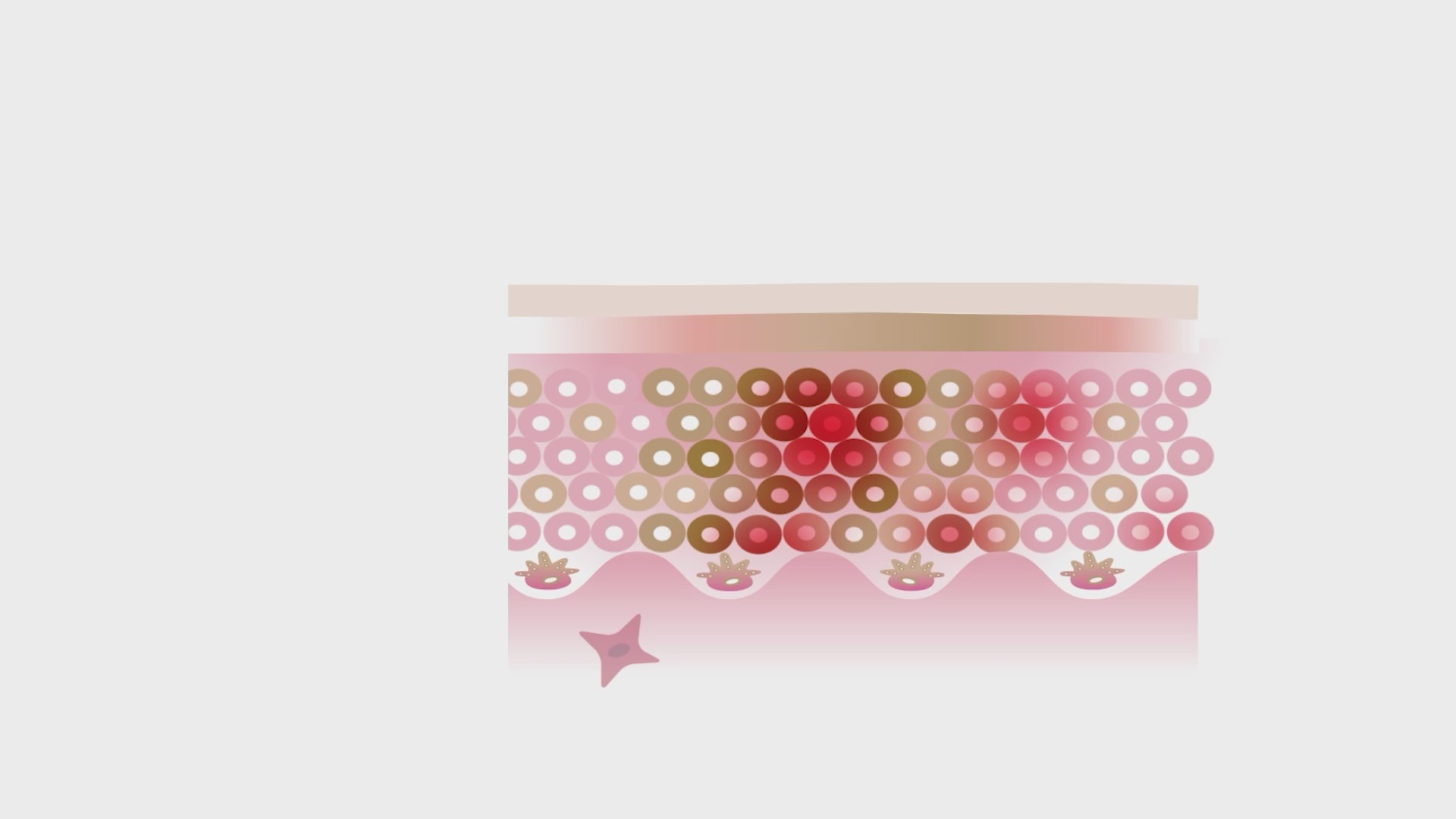 IMAGE Skincare AGELESS+ Retinol Treatment Crème 1.2% Retinol Complex (1 oz)